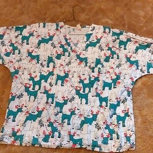 Rudolph,red -nosed reindeer, scrub